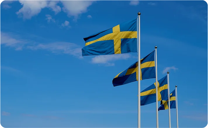 Umzug Schweden flags